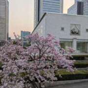 ヒメ日記 2025/03/27 10:34 投稿 福入 熟女の風俗最終章 横浜本店