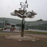 ヒメ日記 2025/04/01 11:54 投稿 福入 熟女の風俗最終章 横浜本店