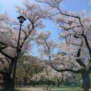 ヒメ日記 2025/04/10 10:50 投稿 福入 熟女の風俗最終章 横浜本店