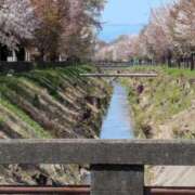 ヒメ日記 2025/04/12 11:53 投稿 福入 熟女の風俗最終章 横浜本店