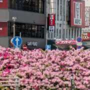 ヒメ日記 2025/04/22 12:10 投稿 福入 熟女の風俗最終章 横浜本店