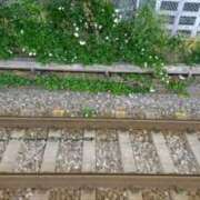 ヒメ日記 2025/04/26 11:04 投稿 福入 熟女の風俗最終章 横浜本店