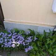 ヒメ日記 2025/05/06 10:54 投稿 福入 熟女の風俗最終章 横浜本店