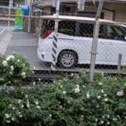 ヒメ日記 2025/05/18 10:44 投稿 福入 熟女の風俗最終章 横浜本店