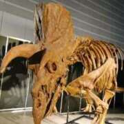 ヒメ日記 2025/06/01 11:49 投稿 福入 熟女の風俗最終章 横浜本店