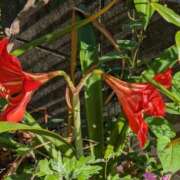 ヒメ日記 2025/06/01 15:49 投稿 福入 熟女の風俗最終章 横浜本店