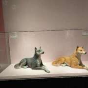 ヒメ日記 2025/06/20 11:57 投稿 福入 熟女の風俗最終章 横浜本店