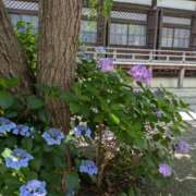 ヒメ日記 2025/06/23 14:30 投稿 福入 熟女の風俗最終章 横浜本店