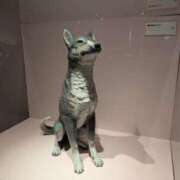 ヒメ日記 2025/06/26 16:24 投稿 福入 熟女の風俗最終章 横浜本店