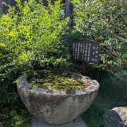 ヒメ日記 2025/06/28 10:47 投稿 福入 熟女の風俗最終章 横浜本店