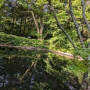 ヒメ日記 2025/06/30 08:34 投稿 福入 熟女の風俗最終章 横浜本店