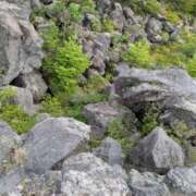 ヒメ日記 2025/07/03 11:54 投稿 福入 熟女の風俗最終章 横浜本店