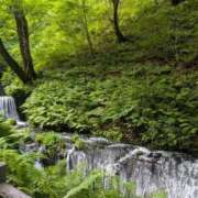 ヒメ日記 2025/07/03 14:29 投稿 福入 熟女の風俗最終章 横浜本店