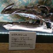 ヒメ日記 2025/07/26 14:24 投稿 福入 熟女の風俗最終章 横浜本店