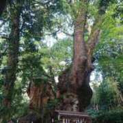 ヒメ日記 2025/08/09 10:54 投稿 福入 熟女の風俗最終章 横浜本店