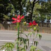 ヒメ日記 2025/08/16 10:44 投稿 福入 熟女の風俗最終章 横浜本店