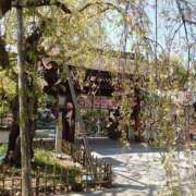 ヒメ日記 2025/08/17 14:29 投稿 福入 熟女の風俗最終章 横浜本店