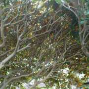 ヒメ日記 2025/08/19 16:04 投稿 福入 熟女の風俗最終章 横浜本店