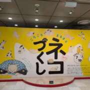 ヒメ日記 2025/08/25 11:45 投稿 福入 熟女の風俗最終章 横浜本店