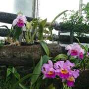 ヒメ日記 2025/08/28 16:36 投稿 福入 熟女の風俗最終章 横浜本店