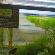 ヒメ日記 2025/09/04 14:34 投稿 福入 熟女の風俗最終章 横浜本店