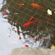 ヒメ日記 2025/09/06 11:03 投稿 福入 熟女の風俗最終章 横浜本店