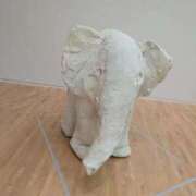 ヒメ日記 2025/09/15 14:04 投稿 福入 熟女の風俗最終章 横浜本店