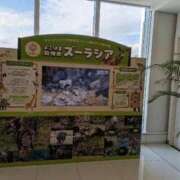 ヒメ日記 2025/10/04 13:44 投稿 福入 熟女の風俗最終章 横浜本店