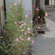 ヒメ日記 2025/10/05 11:34 投稿 福入 熟女の風俗最終章 横浜本店