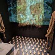 ヒメ日記 2025/10/12 10:54 投稿 福入 熟女の風俗最終章 横浜本店