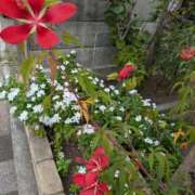 ヒメ日記 2025/10/21 10:54 投稿 福入 熟女の風俗最終章 横浜本店