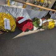 ヒメ日記 2025/11/09 11:34 投稿 福入 熟女の風俗最終章 横浜本店