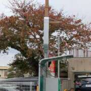 ヒメ日記 2025/11/13 15:54 投稿 福入 熟女の風俗最終章 横浜本店