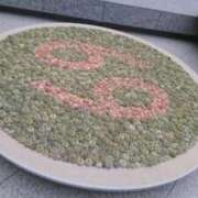 ヒメ日記 2025/11/21 11:21 投稿 福入 熟女の風俗最終章 横浜本店