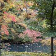 ヒメ日記 2025/11/24 12:55 投稿 福入 熟女の風俗最終章 横浜本店