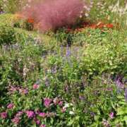 ヒメ日記 2025/11/27 12:33 投稿 福入 熟女の風俗最終章 横浜本店