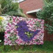 ヒメ日記 2025/11/30 15:47 投稿 福入 熟女の風俗最終章 横浜本店