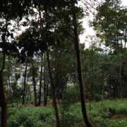 ヒメ日記 2025/12/03 16:50 投稿 福入 熟女の風俗最終章 横浜本店