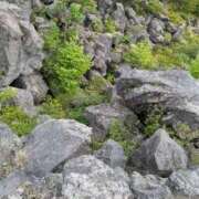 ヒメ日記 2025/12/09 15:04 投稿 福入 熟女の風俗最終章 横浜本店