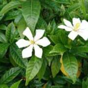 ヒメ日記 2025/12/15 12:34 投稿 福入 熟女の風俗最終章 横浜本店