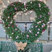 ヒメ日記 2025/12/23 12:24 投稿 福入 熟女の風俗最終章 横浜本店