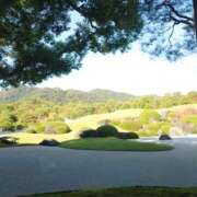 ヒメ日記 2026/01/06 10:54 投稿 福入 熟女の風俗最終章 横浜本店