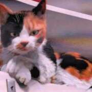 ヒメ日記 2026/01/07 16:14 投稿 福入 熟女の風俗最終章 横浜本店