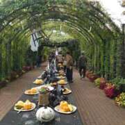 ヒメ日記 2026/01/12 15:04 投稿 福入 熟女の風俗最終章 横浜本店