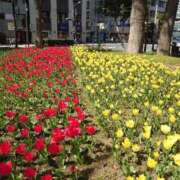 ヒメ日記 2026/01/18 12:34 投稿 福入 熟女の風俗最終章 横浜本店