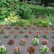 ヒメ日記 2026/02/04 12:44 投稿 福入 熟女の風俗最終章 横浜本店