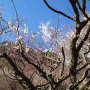 ヒメ日記 2026/02/16 15:04 投稿 福入 熟女の風俗最終章 横浜本店