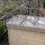 ヒメ日記 2026/02/18 11:44 投稿 福入 熟女の風俗最終章 横浜本店