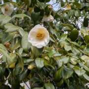 ヒメ日記 2026/03/02 12:00 投稿 福入 熟女の風俗最終章 横浜本店