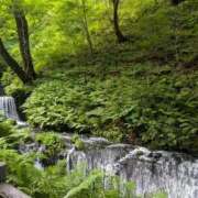 ヒメ日記 2026/03/25 14:06 投稿 福入 熟女の風俗最終章 横浜本店